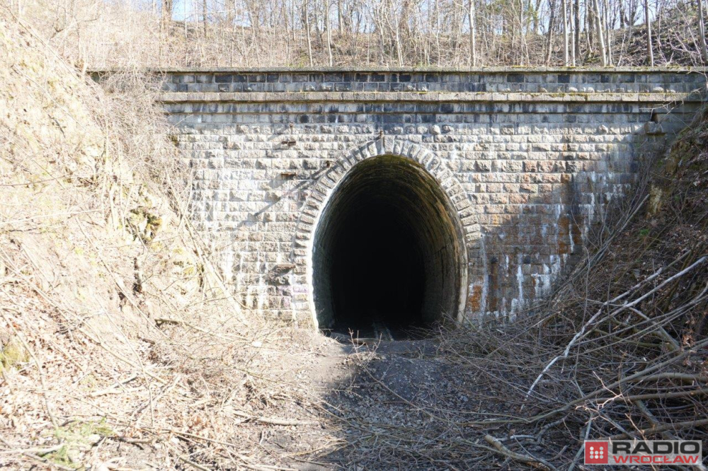 Linia kolejowa Kowary-Kamienna Góra. Czy zimujące nietoperze zablokują jej modernizację? Ruszają badania - Tunel kolejowy na linii Kowary-Kamienna Góra jest miejscem zimowania nietoperzy z gatunku mopka zachodniego. Czy ich obecność zablokuje modernizacje linii? Fot: Radio Wrocław