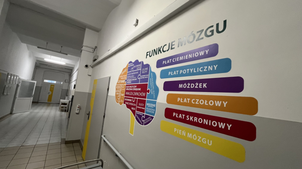 Sztuczna inteligencja pomaga leczyć pacjentów szpitala w Bolesławcu! Czy pojawi się w innych placówkach? - Bolesławiecki szpital wykorzystuje oprogramowanie, dzięki któremu szybciej i dokładniej można ocenić skutki udaru! Fot: Maciej Ryłkiewicz/ Radio Wrocław