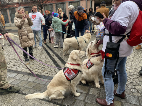 Za nami 33. Finał WOŚP we Wrocławiu. Ile pieniędzy udało się zebrać? - 4