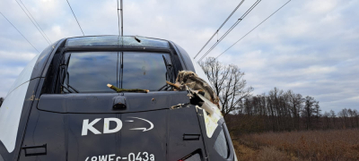 Duża awaria na kolei. Są utrudnienia na trasie Wrocław - Zielona G&oacute;ra