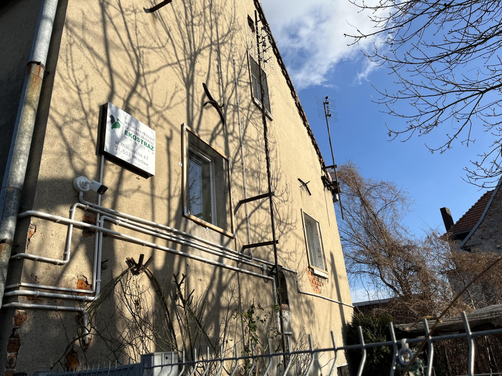 Dziurawy dach, zagrzybione pomieszczenia. Konieczny jest generalny remont budynku Ekostraży – Budynek Eko-Straży został przekazany organizacji przez władzę miasta w ubiegłym roku. Fot: Beata Makowska/ Radio Wrocław