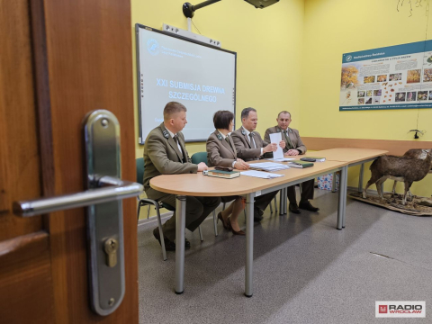 Nawet kilkadziesiąt tysięcy za kłodę! Aukcja wyjątkowego drewna w Nadleśnictwie Świdnica - 2