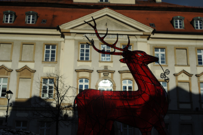Karta Mieszkańca działa w Jeleniej G&oacute;rze. Jakie daje korzyści i jak ją założyć?