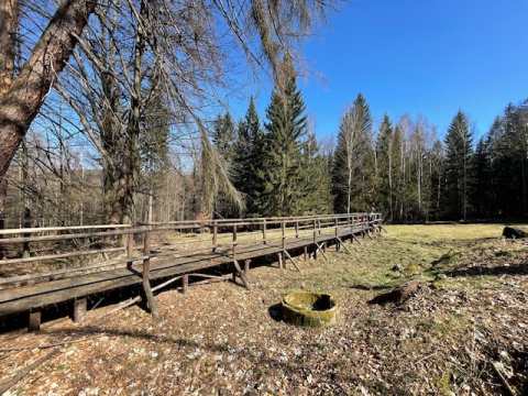 Tatry mają Dolinę Chochołowską, a Dolny Śląsk Górzyniec. Rezerwat przyrody „Krokusy” ocalony - 0
