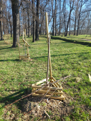 Skąd się biorą takie pomysły? Wandale zniszczyli nowe drzewka w Kłodzku - 1