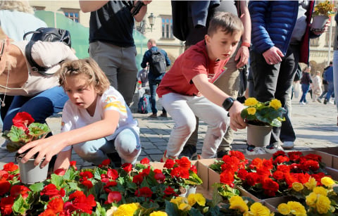 To jeden z najstarszych konkursów we Wrocławiu. Mieszkańcy ukwiecają miasto - 9