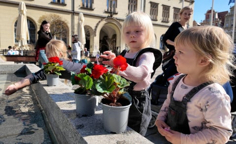 To jeden z najstarszych konkursów we Wrocławiu. Mieszkańcy ukwiecają miasto - 1