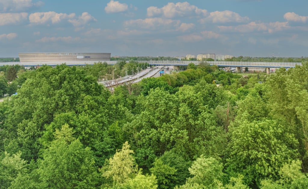We Wrocławiu mają wyciąć stare drzewa i postawić budynek. Mieszkańcy walczą, by powstał tam park - W tym miejscu powstanie park czy nowy budynek? Fot. Komitet Społeczny Zielone Nowe Żerniki
