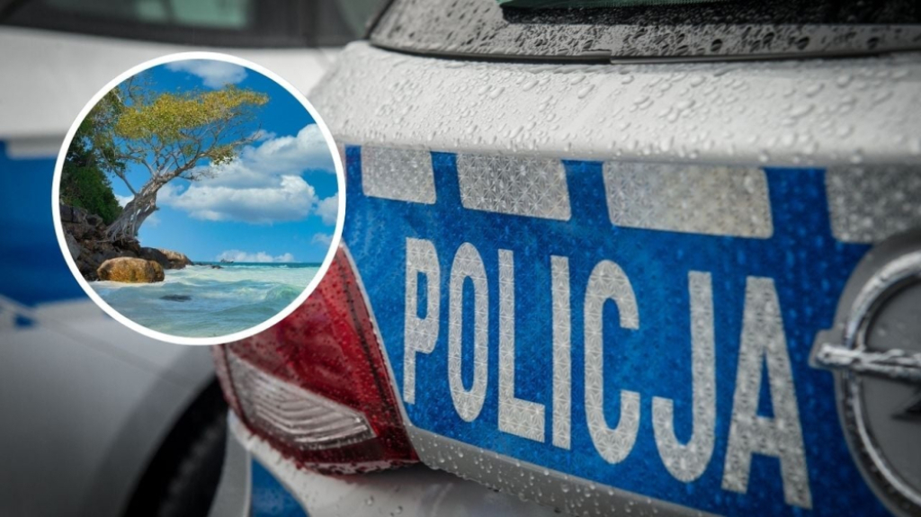 Pijany kierowca proponował łapówkę policjantom, a w jej ramach... zniżkę na wakacje. Potem stwierdził, że tego nie pamięta - Policjanci z Jeleniej Góry usłyszeli nietypową propozycję łapówki. Fot. RW/Pixabay