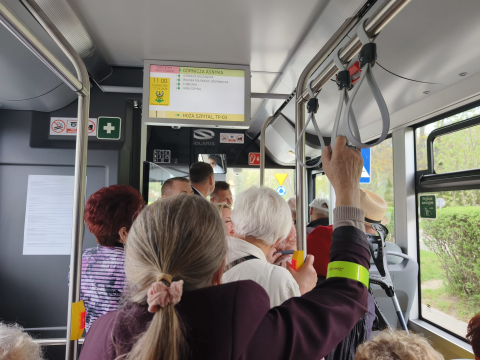 Do Złotoryi wraca bezpłatna komunikacja miejska. Jest w pełni elektryczna! - 5
