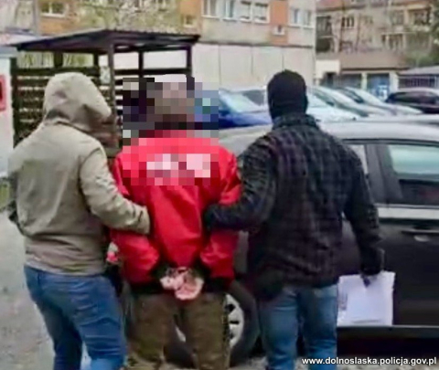 Szczuł psa, by ten... uszkodził drzewa. Podczas zatrzymania zwierzę zaatakowało policjantów - 1