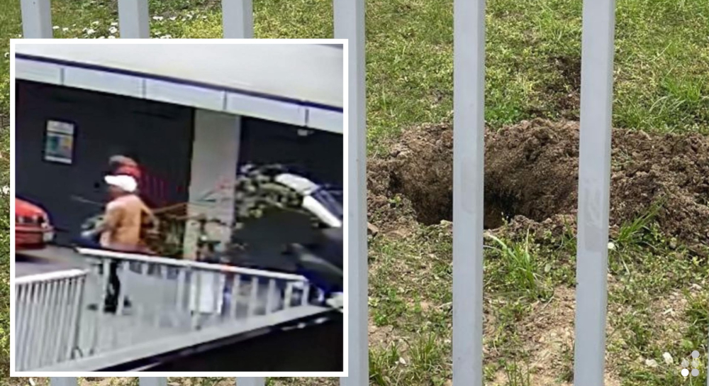 Ukradli magnolie z wrocławskiego podwórka. Wspólnota zasadziła je niedługo wcześniej - Złodzieje ukradli magnolie z wrocławskiego podwórka.