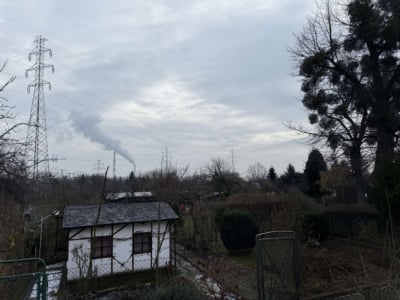 Śmierć na działkach. Prokurator bada sprawę mężczyzny znalezionego na ogrodzeniu
