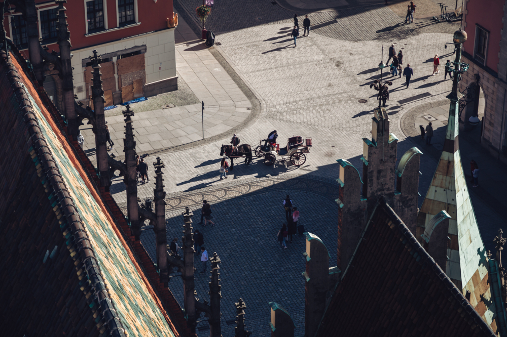 Czy na wrocławskim rynku pojawi się więcej zieleni? Trwają rozmowy przedstawicieli miasta z konserwatorem zabytków - Czy na wrocławskim rynku pojawią się nowe drzewa? Fot: Radio Wrocław (zdjęcie ilustracyjne)