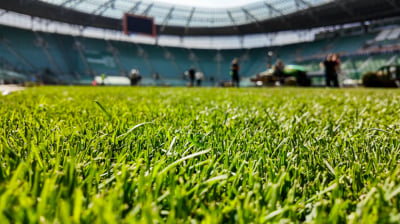Dobiega końca wymiana murawy na wrocławskim stadionie. To najdroższa z prac przed finałem Ligi Konferencji
