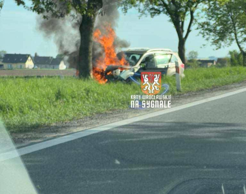 Samochód stanął w płomieniach po uderzeniu w drzewo. Bardzo groźny wypadek na krajowej ósemce [ZDJĘCIA] - 0