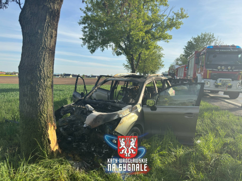 Samochód stanął w płomieniach po uderzeniu w drzewo. Bardzo groźny wypadek na krajowej ósemce [ZDJĘCIA] - 1