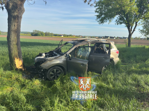 Samochód stanął w płomieniach po uderzeniu w drzewo. Bardzo groźny wypadek na krajowej ósemce [ZDJĘCIA] - 2