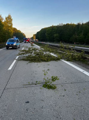 Autokar uderzył w przewrócone drzewo. Groźne zdarzenie na autostradzie A4 [ZDJĘCIA] - 0