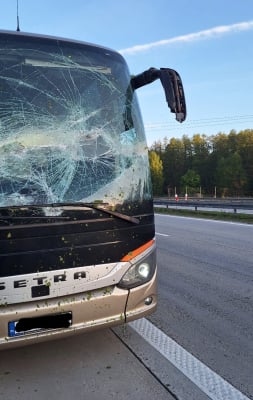 Autokar uderzył w przewrócone drzewo. Groźne zdarzenie na autostradzie A4 [ZDJĘCIA] - 1