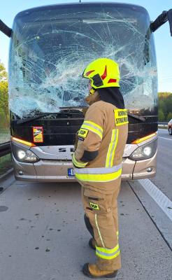 Autokar uderzył w przewrócone drzewo. Groźne zdarzenie na autostradzie A4 [ZDJĘCIA] - 3