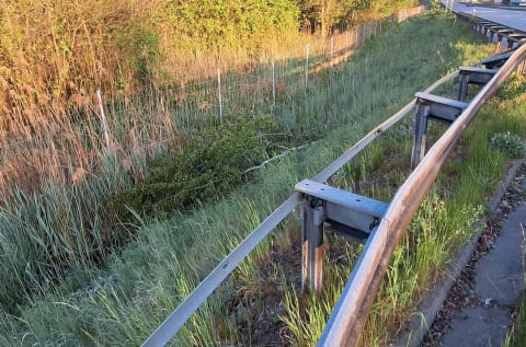 Autokar uderzył w przewrócone drzewo. Groźne zdarzenie na autostradzie A4 [ZDJĘCIA] - 4