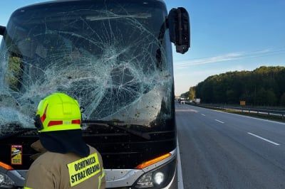 Autokar uderzył w przewr&oacute;cone drzewo. Groźne zdarzenie na autostradzie A4