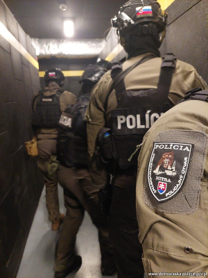 Wrocławscy kontrterroryści wraz ze Słowakami oraz Czechami doskonalą swoje umiejętności szturmowe [ZDJĘCIA] - 2