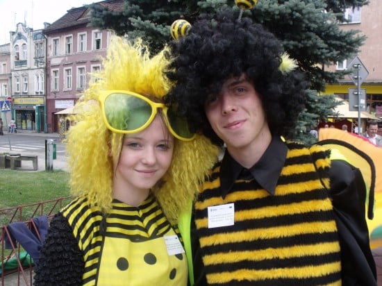 Pszczoły opanowały Nowogrodziec - Fot. Piotr Słowiński