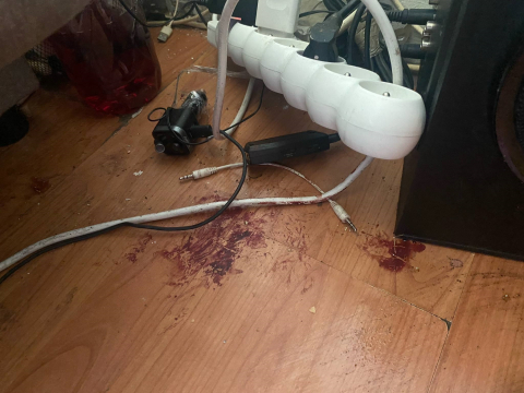 Zmasakrowanie psa na wrocławskim Grabiszynie. Zwierzę ma wybite oko, może stracić drugie. Policja poszukuje sprawcy - 1