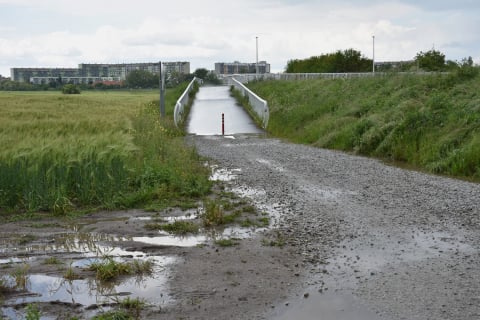 Pomiędzy Muchoborem Wielkim a Muchoborem Małym powstanie ścieżka rowerowa z prawdziwego zdarzenia - 0