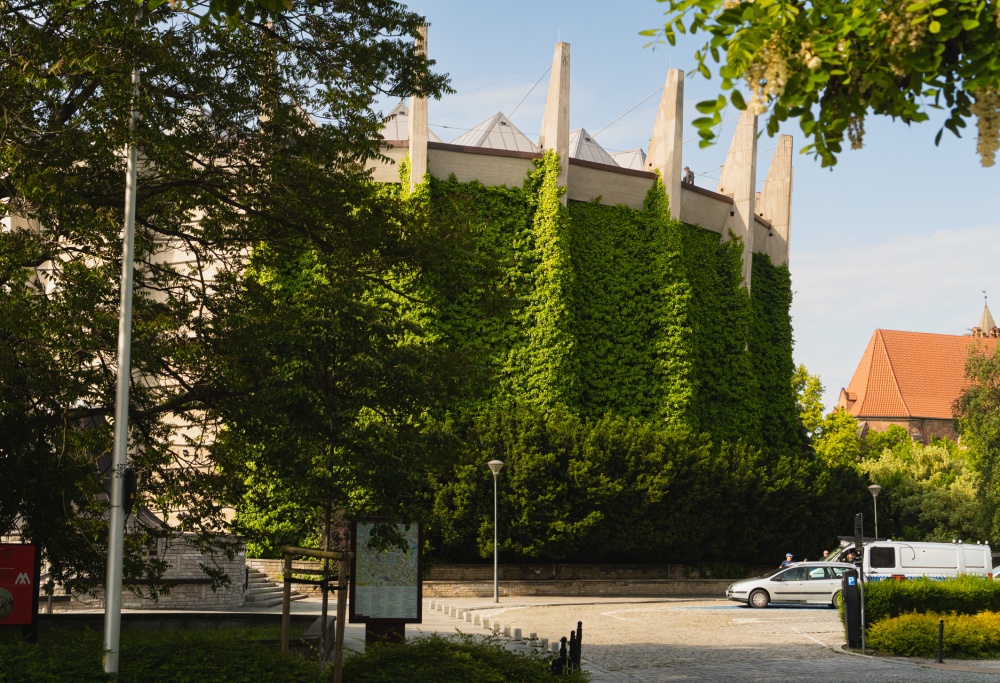 Jakie wspomnienia z Panoramą Racławicką mają słuchacze Radia Wrocław? Trwa wyjątkowy konkurs [ZWYCIĘZCY] - Panorama Racławicka obchodzi 40-lecie! Fot: Krzysztof Milewski/ Radio Wrocław