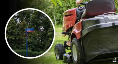 Wysokie trawniki utrudniają pieszym bezpieczne przechodzenie przez pasy? "Pogoda sprzyja wzrostowi traw"