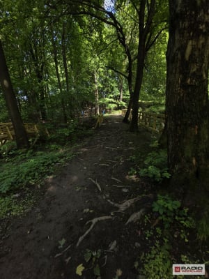 Dobre miejsce do nauki czy bubel? Kontrowersje w sprawie Rowerowego Parku Umiejętności w Szczawnie-Zdroju - 14
