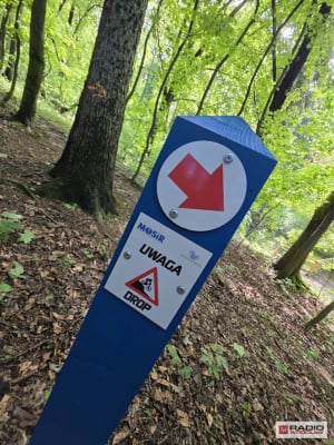 Dobre miejsce do nauki czy bubel? Kontrowersje w sprawie Rowerowego Parku Umiejętności w Szczawnie-Zdroju - 18