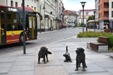 Konsultacje społeczne ws. tramwaju na Psie Pole nie przyniosły rezultatu. Miasto ogłosi kolejny przetarg - 0
