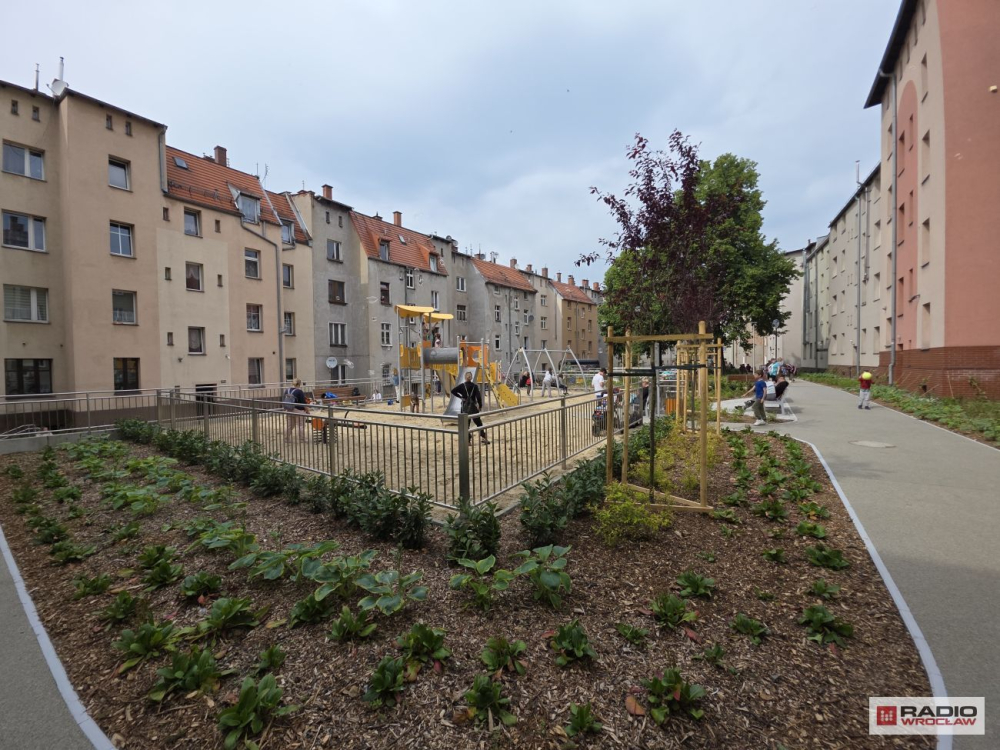 "Jest bez porównania. Wcześniej było śmietnisko". Duża metamorfoza wałbrzyskiego podwórka – Tak wygląda park przy Paderewskiego i Chopina w dzielnicy Nowe Miasto. Fot: Bartosz Szarafin/ Radio Wrocław