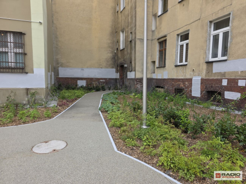 "Jest bez porównania. Wcześniej było śmietnisko". Duża metamorfoza wałbrzyskiego podwórka - 6