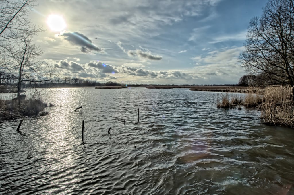 Łączą siły, by ratować Stawy Milickie. Zmiany klimatyczne są dla nich dużym zagrożeniem - Łączą siły, by ratować Stawy Milickie. Fot. RW