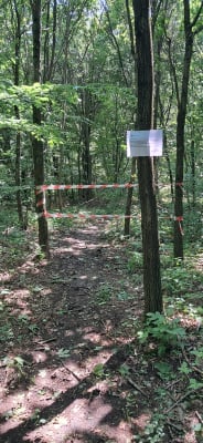 Rowerzyści je uwielbiają, nadleśnictwa stawiają veto. Trwa batalia o nielegalne single tracki w Złotoryi i Jaworze - 1