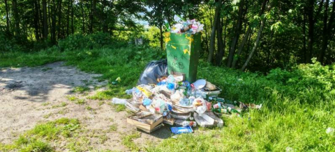 Góra Ślęża, góra śmieci. Dlaczego hałdy odpadów wysypują się z pojemników i zalegają na szczycie? - 1