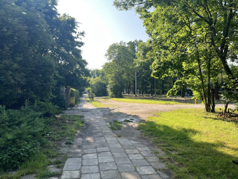 Prawie milion złotych za drogi rowerowe na Biskupinie i Dąbiu. "To dobra informacja" - 0