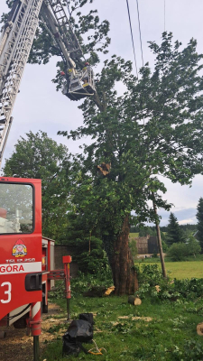 Ulewne deszcze i gwałtowne burze nad Dolnym Śląskiem. Kilkaset strażackich interwencji - 13