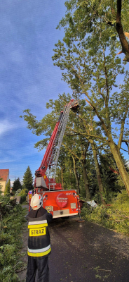 Ulewne deszcze i gwałtowne burze nad Dolnym Śląskiem. Kilkaset strażackich interwencji - 6