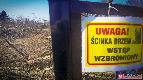 Jest zielone światło dla budowy ostatniego odcinka Wschodniej Obwodnicy Wrocławia. Podpisanie umowy do końca czerwca - 0