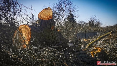 Jest zielone światło dla budowy ostatniego odcinka Wschodniej Obwodnicy Wrocławia. Podpisanie umowy do końca czerwca - 9