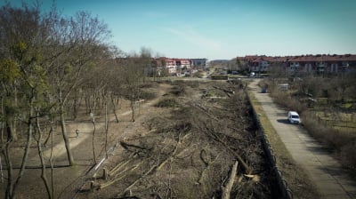 Jest zielone światło dla budowy ostatniego odcinka Wschodniej Obwodnicy Wrocławia. Podpisanie umowy do końca czerwca
