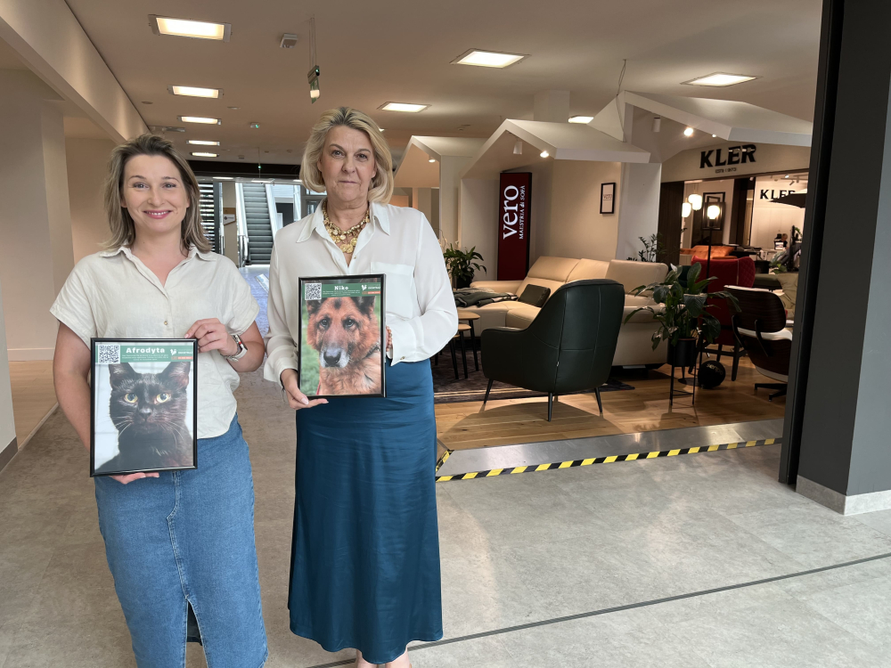 Ekostraż zachęca do adopcji bezdomnych zwierzaków. Galeria Domar wspiera akcję - W salonie mebli Domar można zobaczyć portrety kilkudziesięciu zwierzaków. Fot: Beata Makowska/ Radio Wrocław