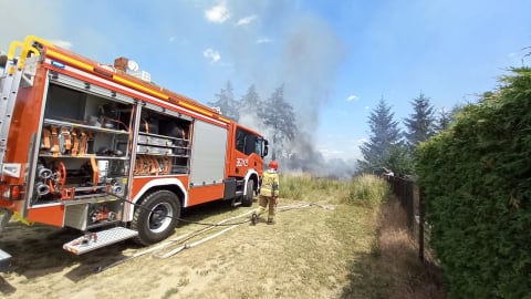 To oni gaszą pożary z powietrza. Ekipa Leśnej Bazy Lotniczej w Lubinie rozpoczyna coroczną służbę - 7