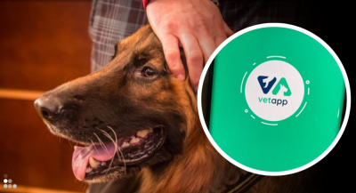 VetApp z darmowym dostępem przez rok. Wątpliwości co do aplikacji mają weterynarze: "Ordynarna pr&oacute;ba obejścia prawa"